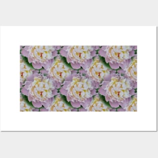 pattern from peony flowers Posters and Art